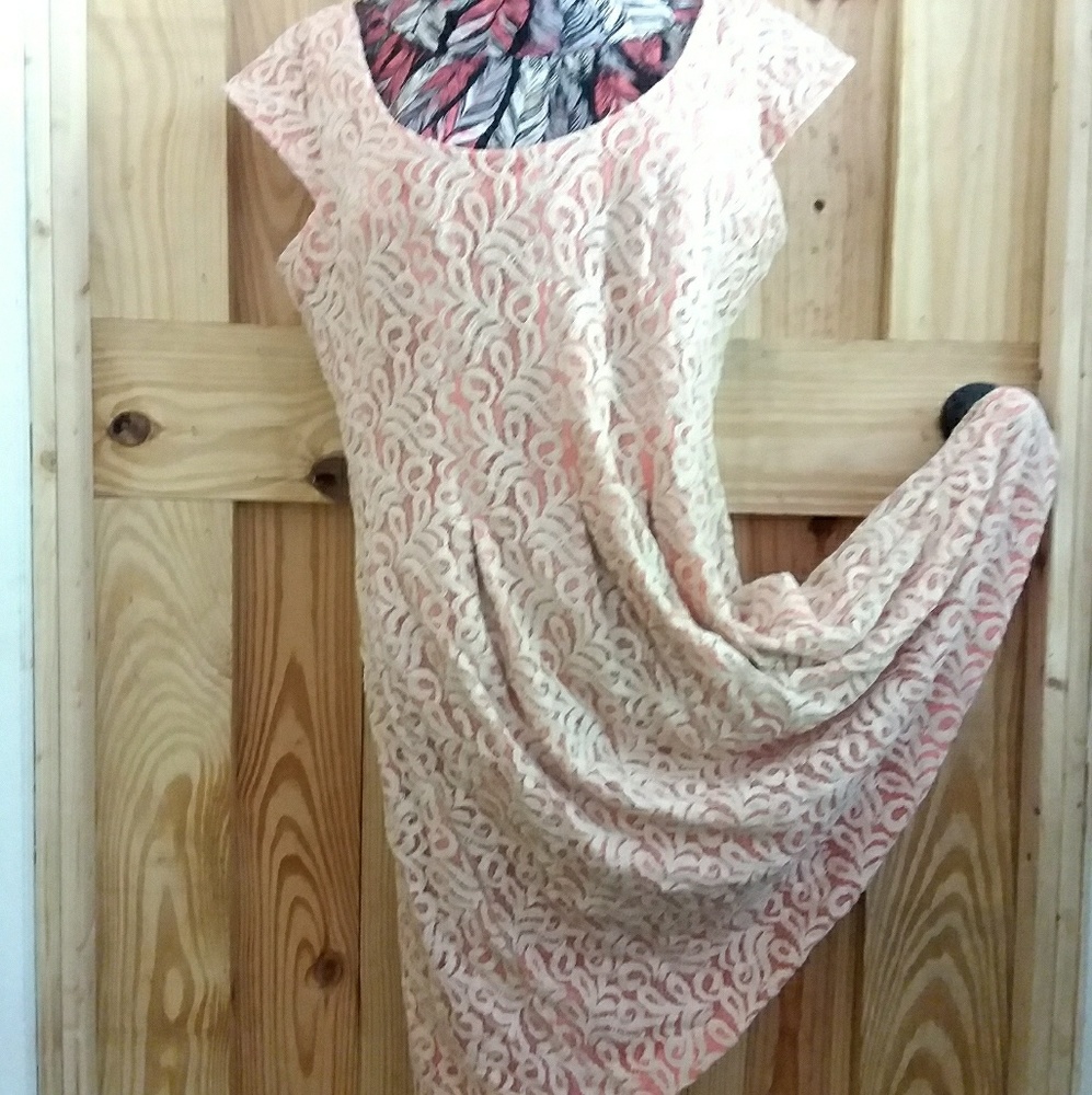 9&CO pretty peach lace fit and flare size 12